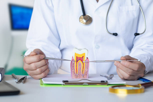 Best Emergency Root Canal Treatment in Headland, AL